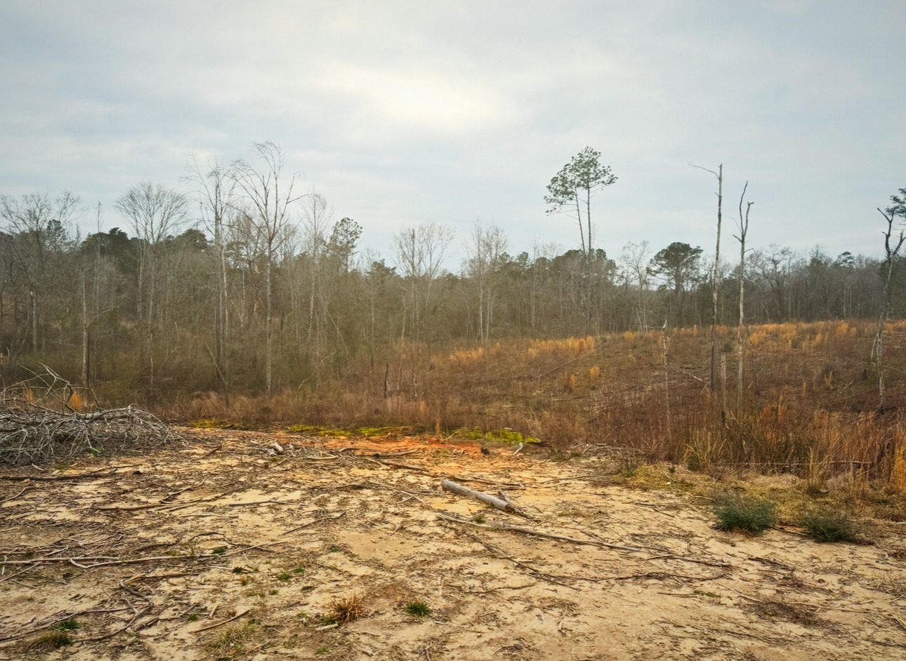 Cleared ground under an open sky