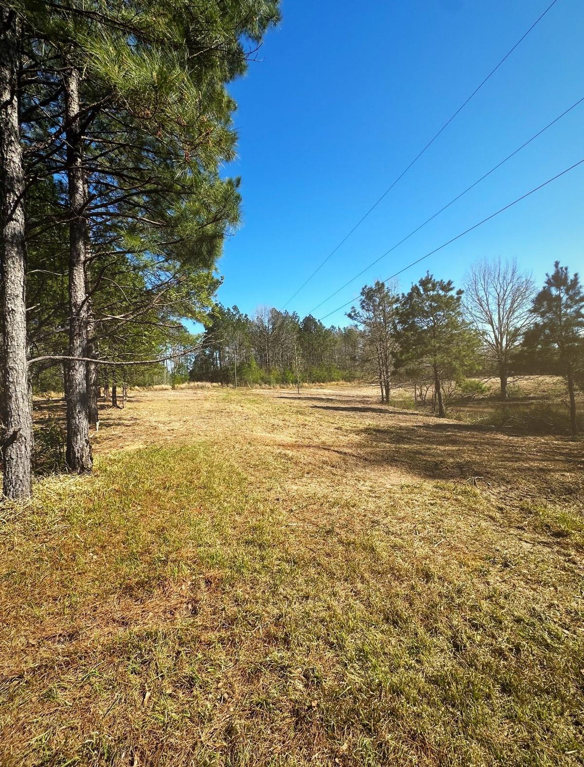 The same slope cleared and mown