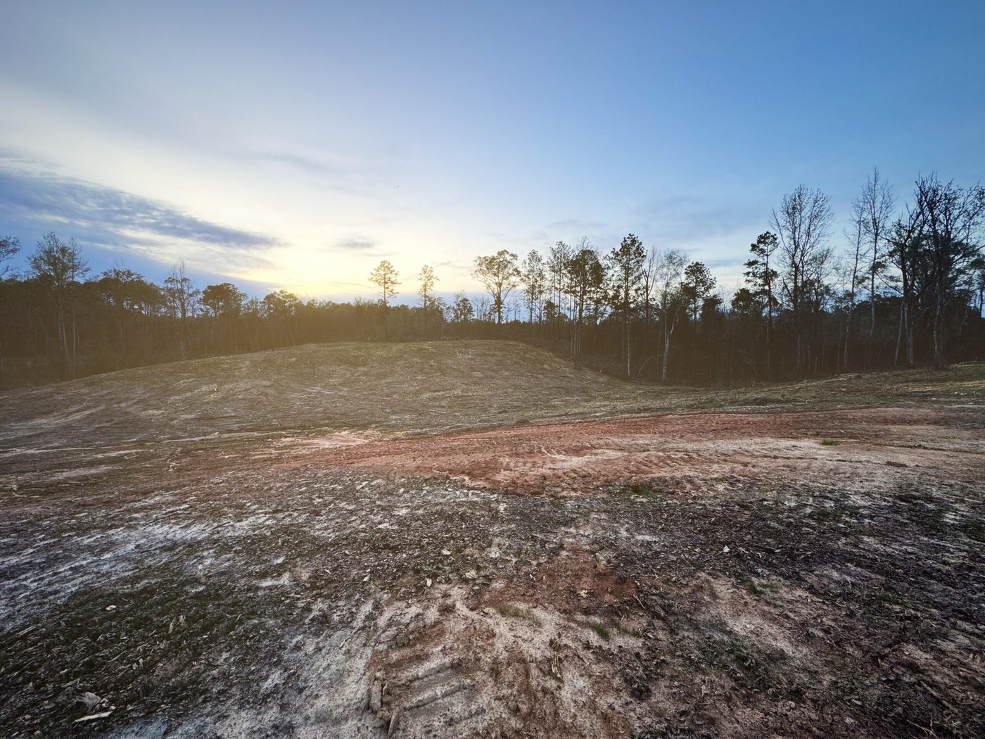 Property cleared by forestry mulching at dusk